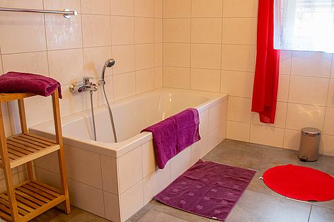 Ferienhaus Jule - Badezimmer mit Badewanne und Dusche